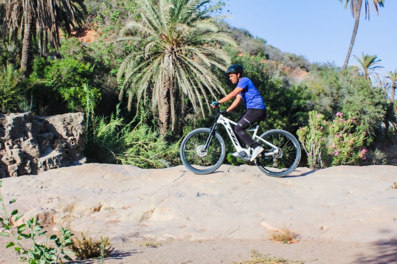 Immouzzer Paradise Valley E-bike tour palm trees