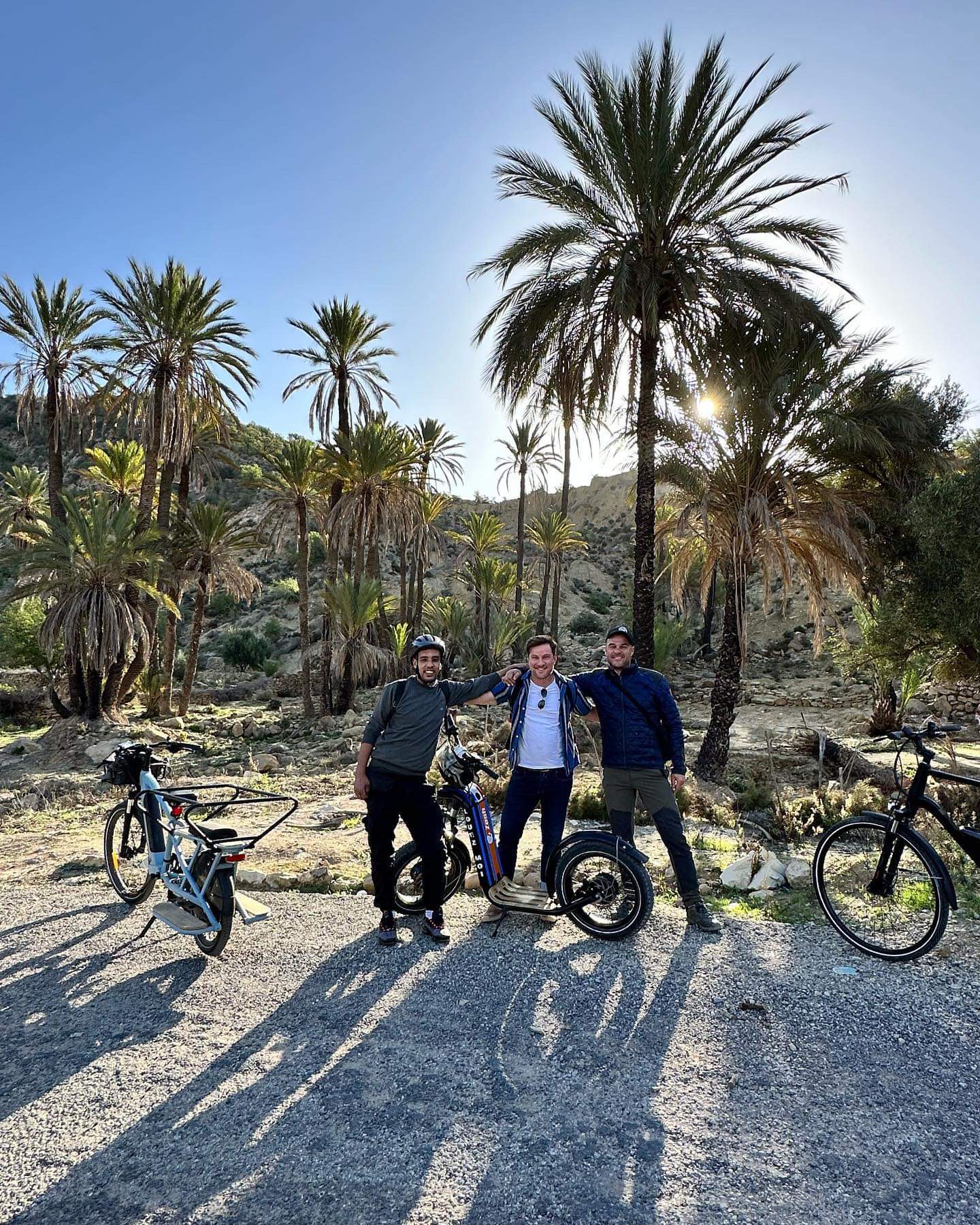 Palm trees and bikes Paradise Valley