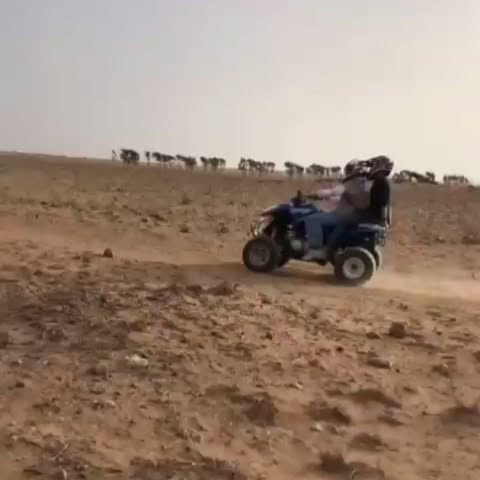 Instagram reel